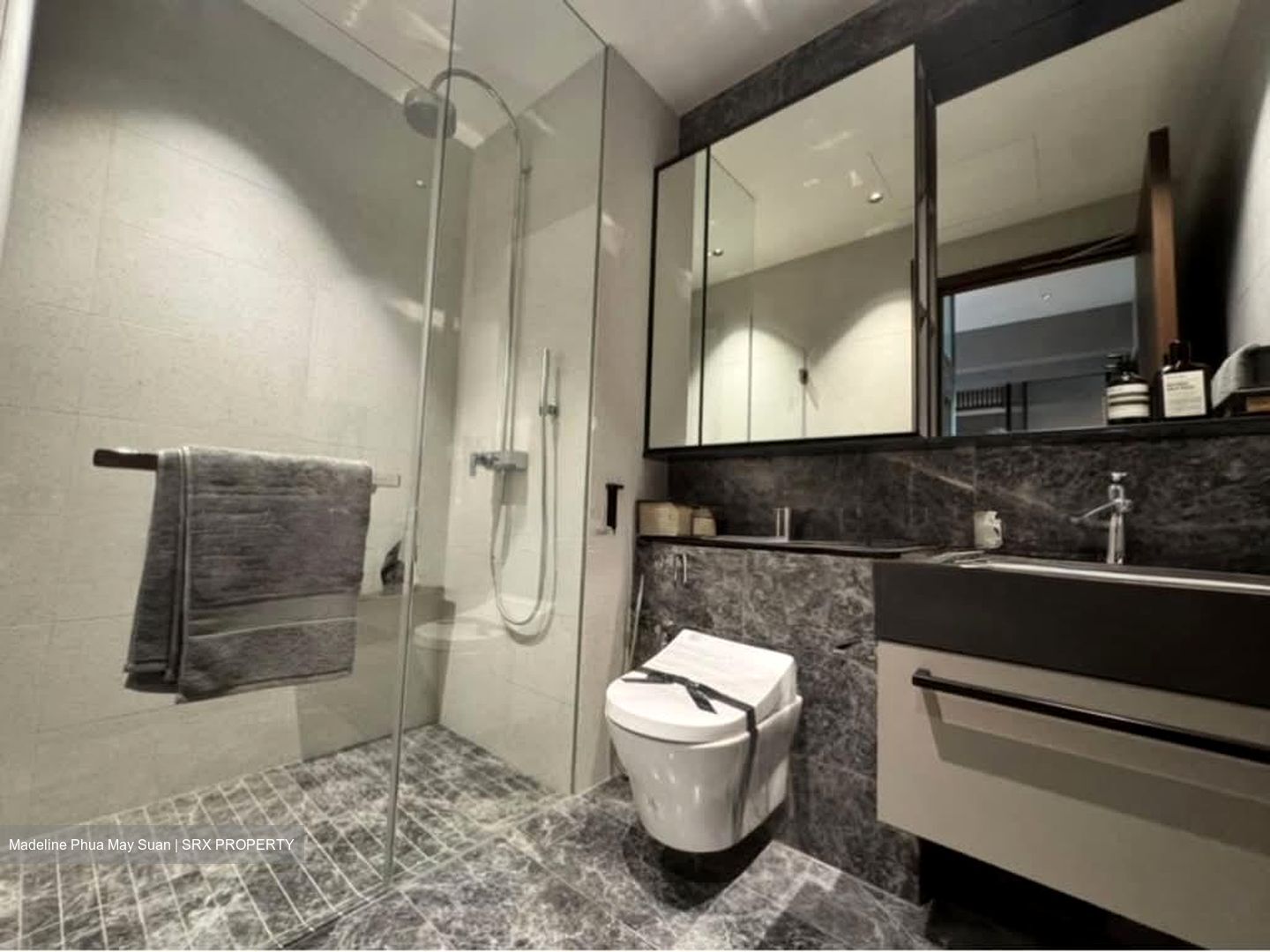 Parksuites (D10), Apartment #584870001